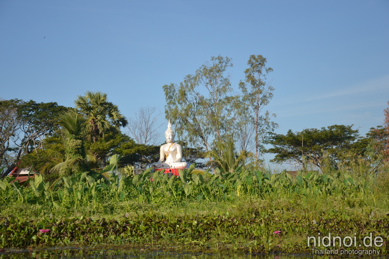 Red Lotus Lake Kumphawapi
