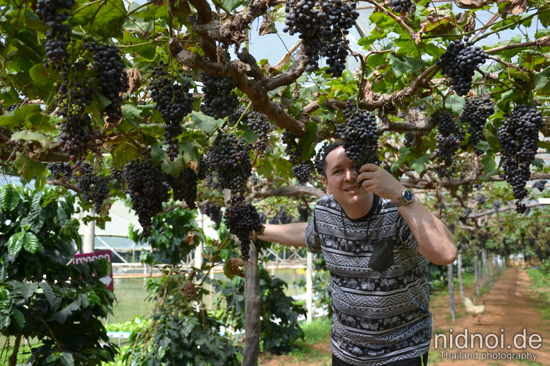 2019-11-01 - Mae Rim in Chiang Mai 52