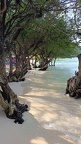 Koh Larn Tien Beach